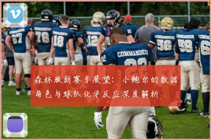 森林狼新赛季展望:小鲍尔的数据角色与球队化学反应深度解析