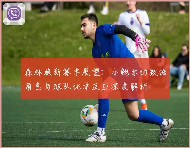 森林狼新赛季展望：小鲍尔的数据角色与球队化学反应深度解析